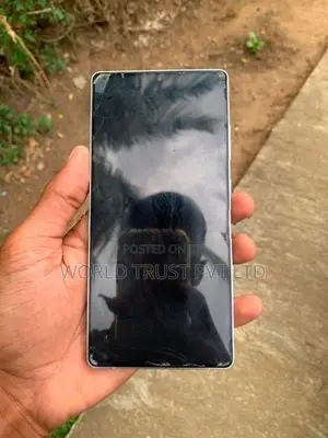 Samsung Galaxy S25 Ultra (Used)