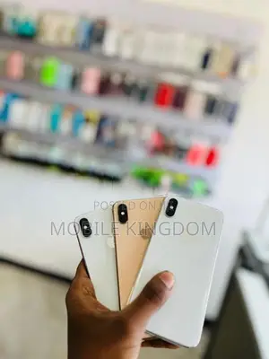Apple iPhone XS Max 256GB (Used)