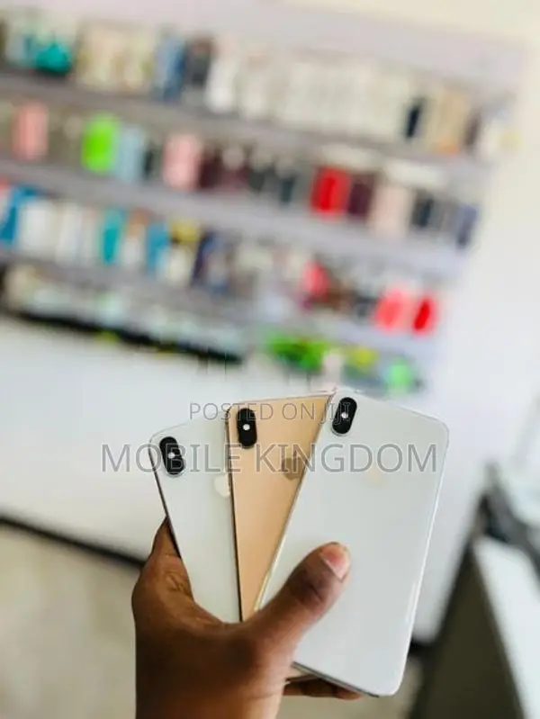 Apple iPhone XS Max 256GB (Used)