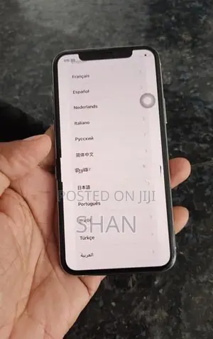 iphone 11 pro display