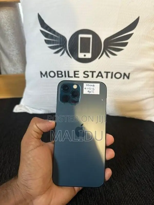 Apple iPhone 12 Pro 256GB (Used)