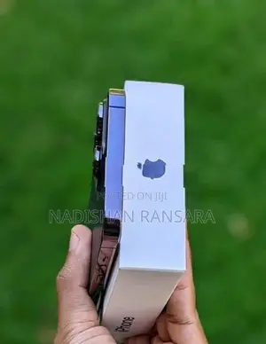 Apple iPhone 14 Pro Max 256GB (Used)