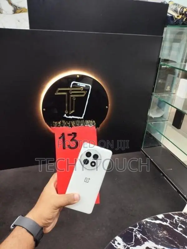 OnePlus 13 (Used)