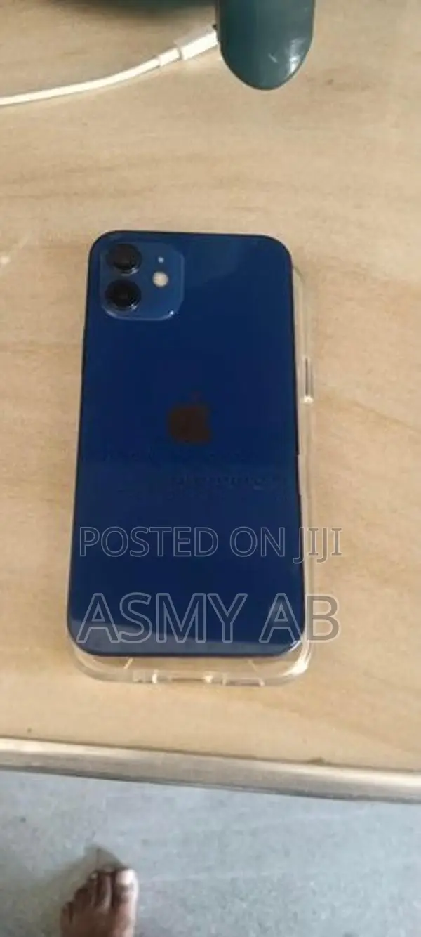Apple iPhone 12 (Used)