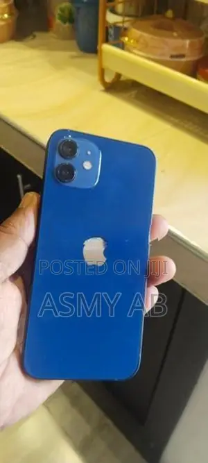 Apple iPhone 12 (Used)