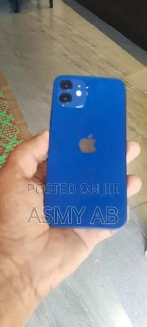 Apple iPhone 12 (Used)