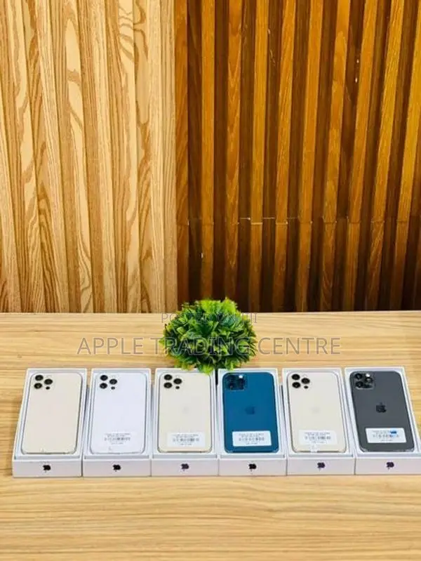 Apple iPhone 12 Pro 256GB (Used)