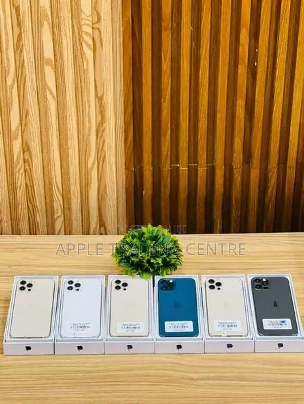 Apple iPhone 12 Pro 256GB (Used)