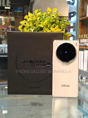 Vivo X100 Pro 512GB (Used)