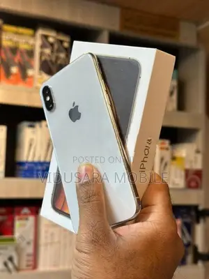 Apple iPhone XS 256GB (Used)