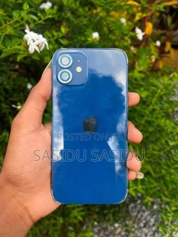 Apple iPhone 12 64Gb (Used)