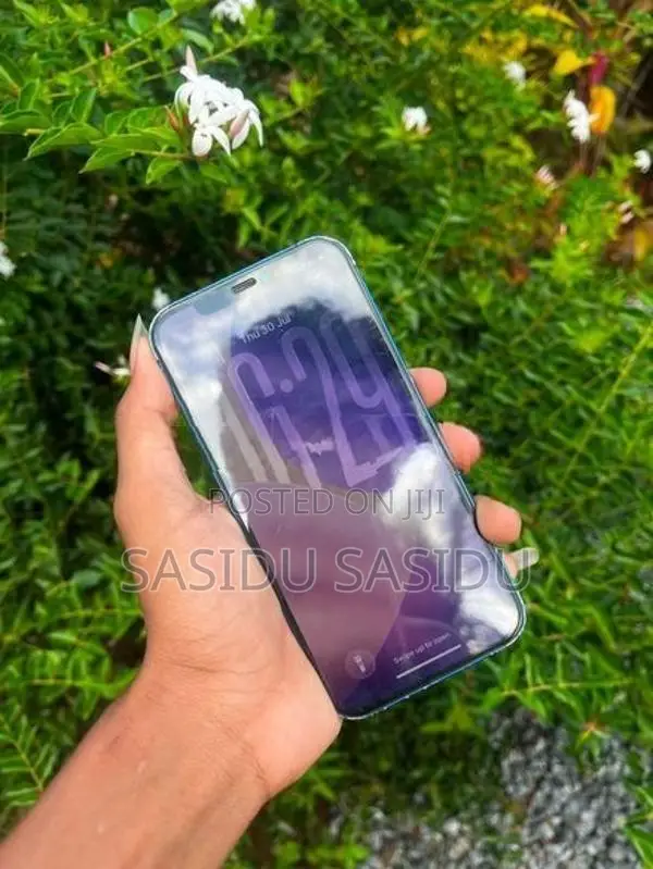 Apple iPhone 12 64Gb (Used)