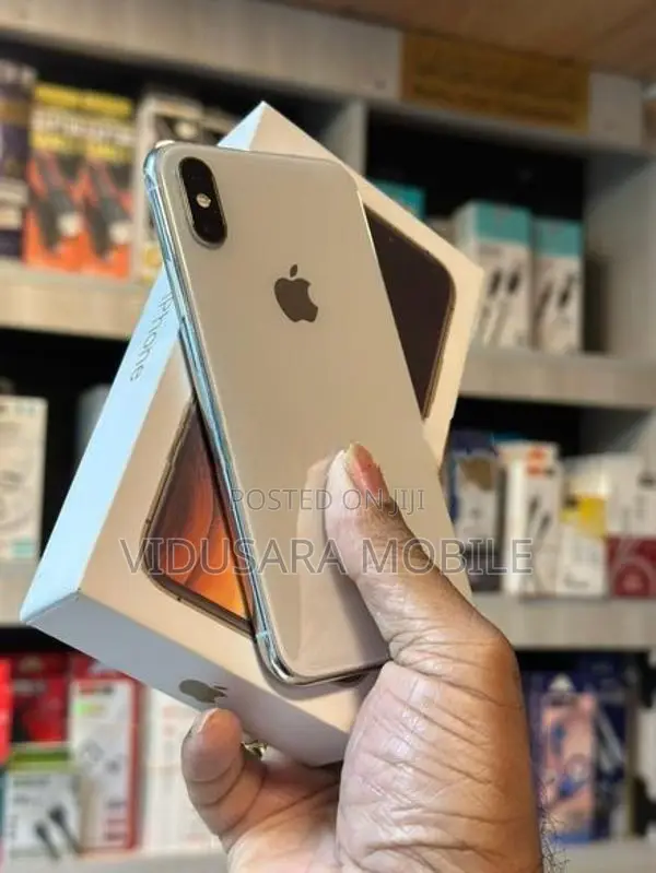 Apple iPhone XS 256GB (Used)
