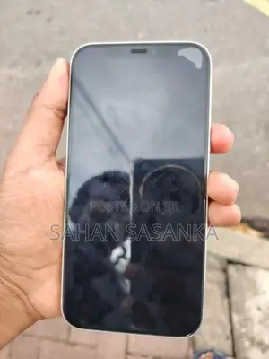 Apple iPhone 12 (Used)
