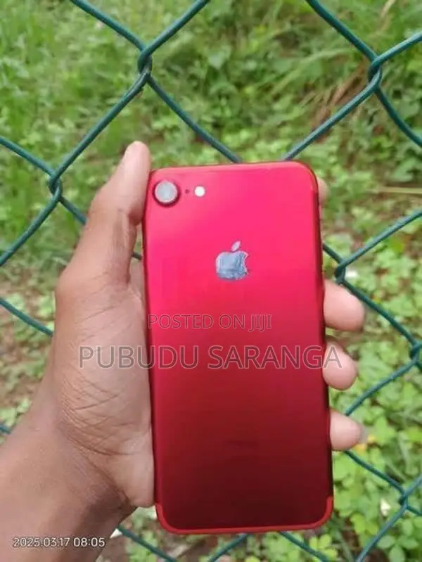 Apple iPhone 7 (Used)