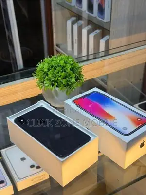 Apple iPhone 12 mini (Used)