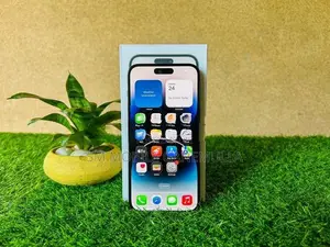 Apple iPhone 14 Pro Max 256GB (Used)