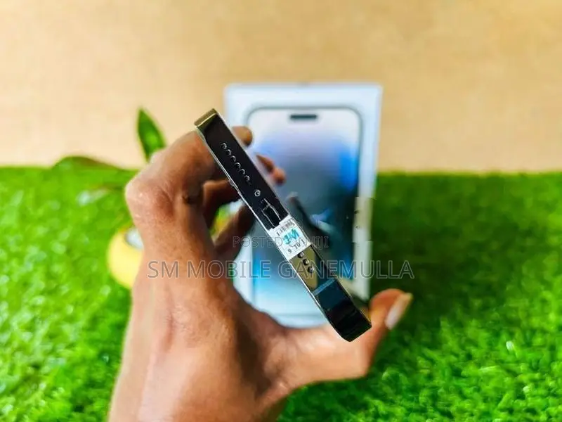 Apple iPhone 14 Pro Max 256GB (Used)