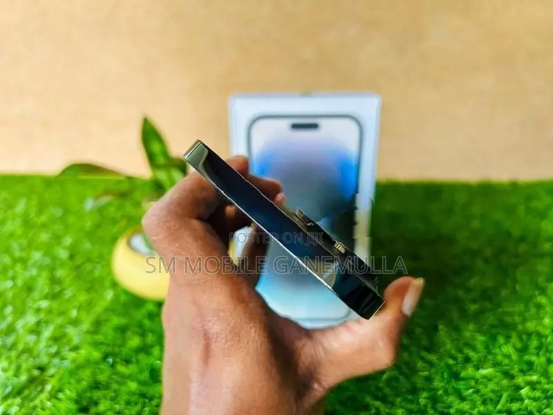Apple iPhone 14 Pro Max 256GB (Used)