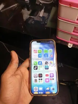 Apple iPhone 12 (Used)