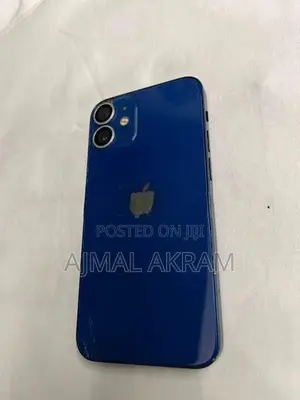 Apple iPhone 12 mini (Used)
