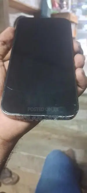 Apple iPhone 13 Pro 256GB (Used)