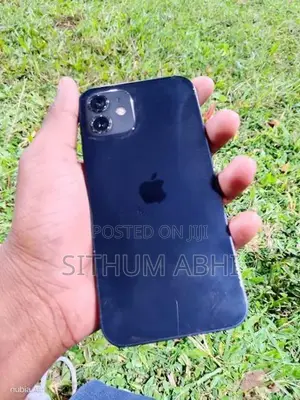 Apple iPhone 12 (Used)