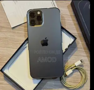 Apple iPhone 12 Pro Max (Used)