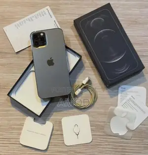 Apple iPhone 12 Pro Max (Used)