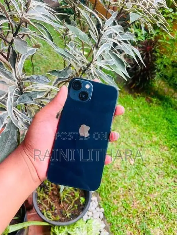 Apple iPhone 13 (Used)
