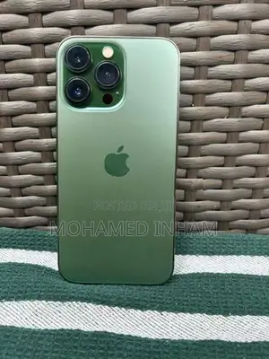 Apple iPhone 13 Pro Max 256 (Used)