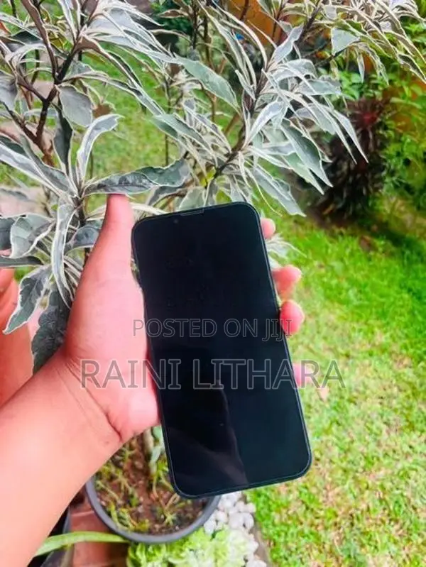 Apple iPhone 13 (Used)