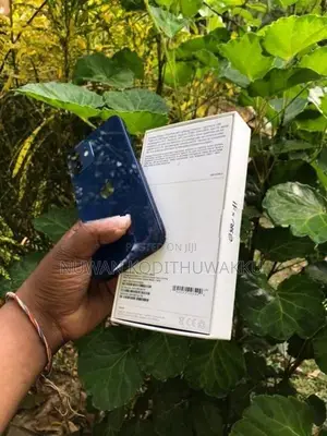 Apple iPhone 12 (Used)