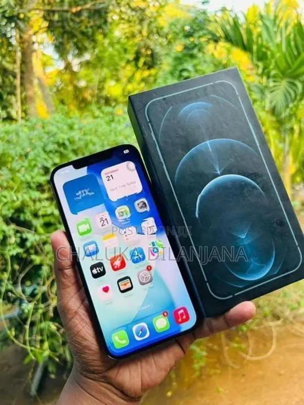 Apple iPhone 12 Pro Max 256GB (Used)
