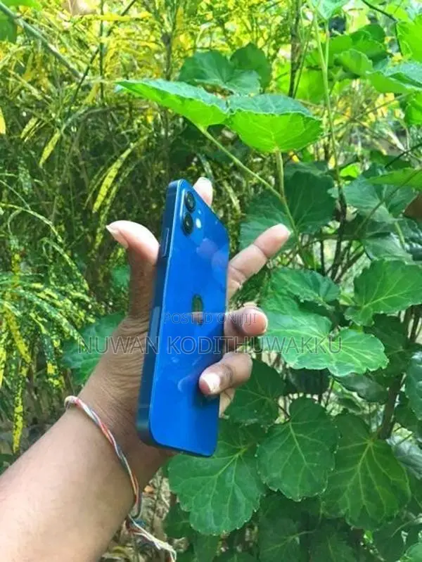 Apple iPhone 12 (Used)