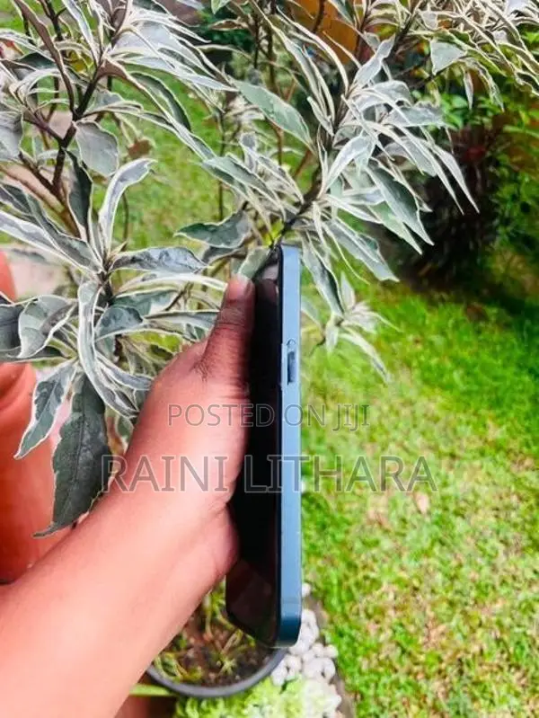 Apple iPhone 13 (Used)