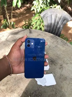Apple iPhone 12 (Used)