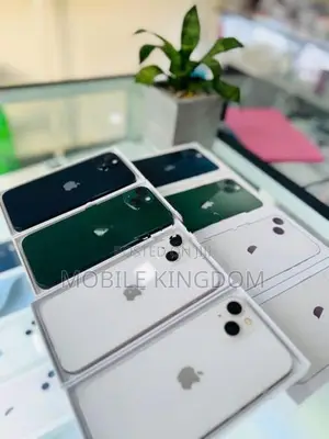 Apple iPhone 13 128GB (Used)