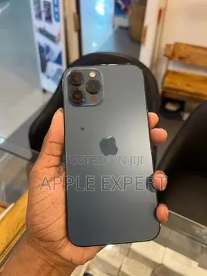 Apple iPhone 12 Pro Max (Used)