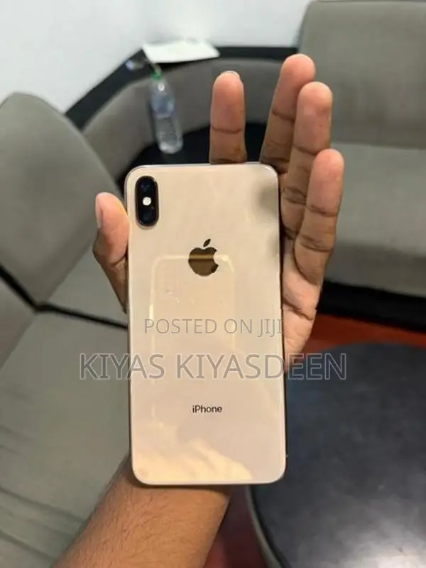 Apple iPhone XS Max 256GB (Used)