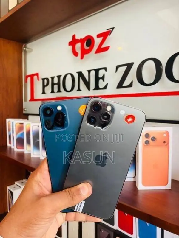 Apple iPhone 12 Pro Max (Used)