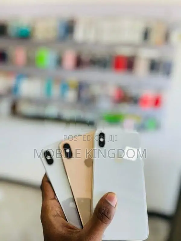 Apple iPhone XS Max 256GB Fullset (Used)
