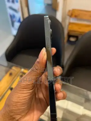 Apple iPhone 12 Pro Max (Used)