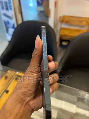 Apple iPhone 12 Pro Max (Used)