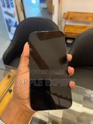 Apple iPhone 12 Pro Max (Used)