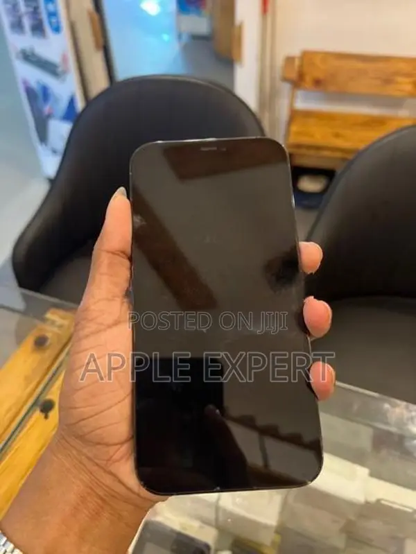 Apple iPhone 12 Pro Max (Used)