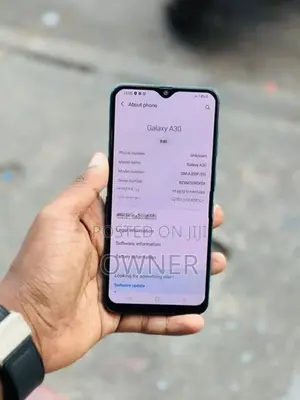 Samsung Galaxy A30 4/64GB (Used)
