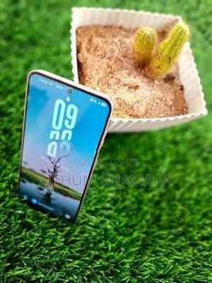 Samsung Galaxy S25 2025 (Used)