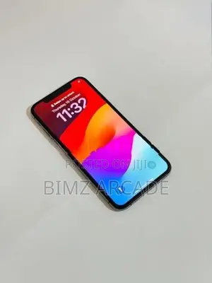 Apple iPhone XS Max 256GB (Used)