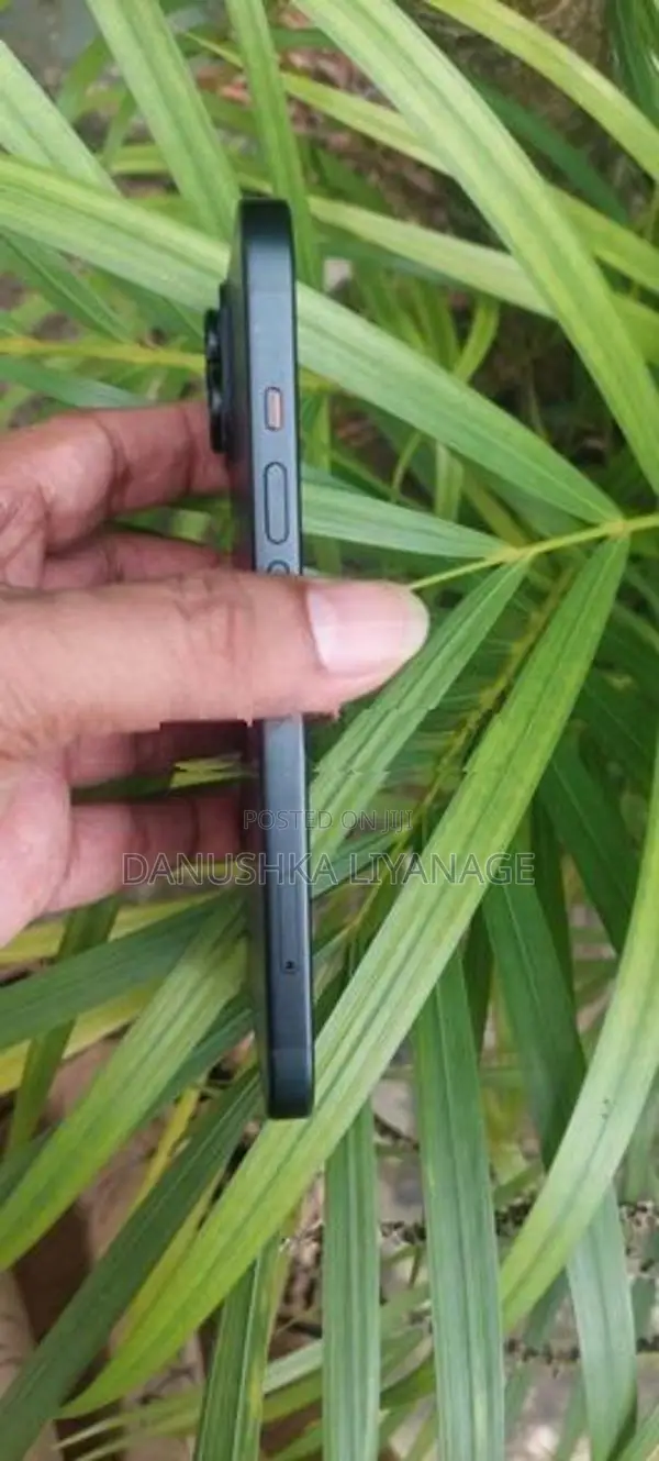 Apple iPhone 15 (Used)